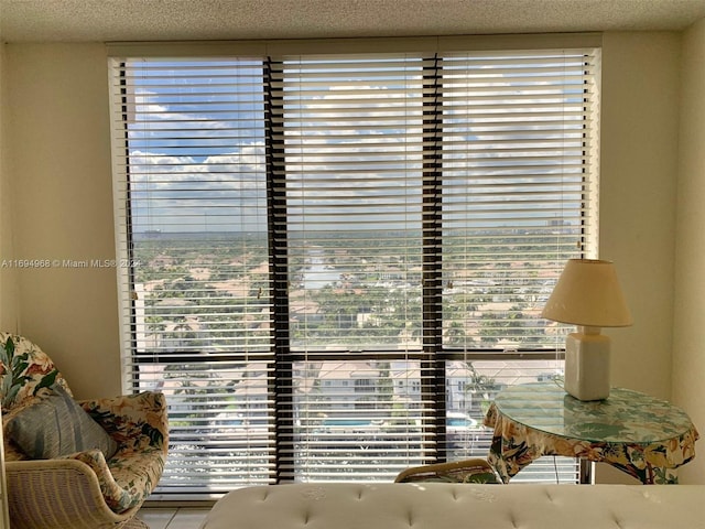 1500 S Ocean Dr Unit 17E, Hollywood, FL 33019 - detailed view of a textured ceiling