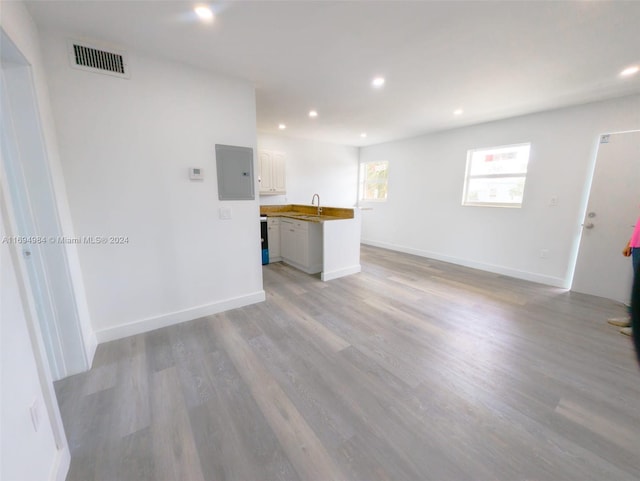 unfurnished living room with sink, electric panel, and light hardwood / wood-style flooring