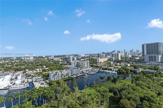 aerial view with a water view