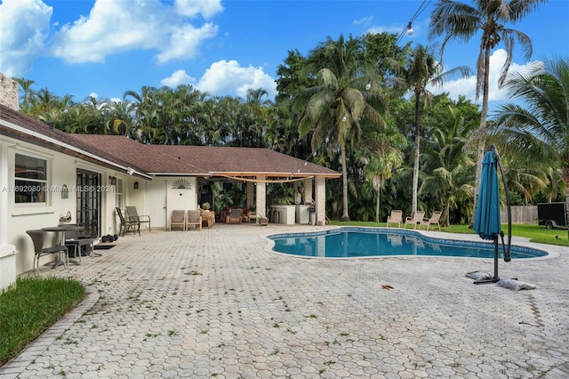 view of pool featuring a patio and exterior kitchen