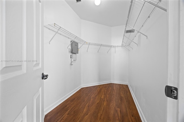 spacious closet with dark wood finished floors