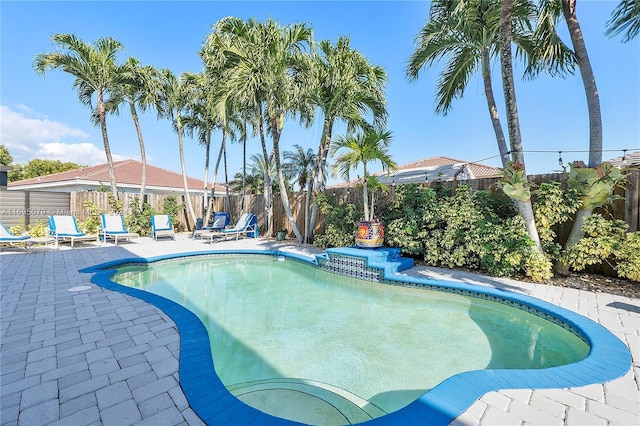 view of swimming pool with a patio area