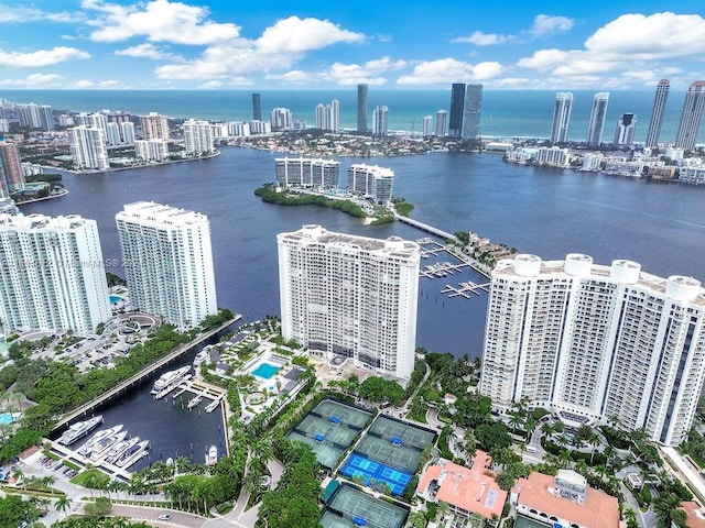 aerial view with a water view