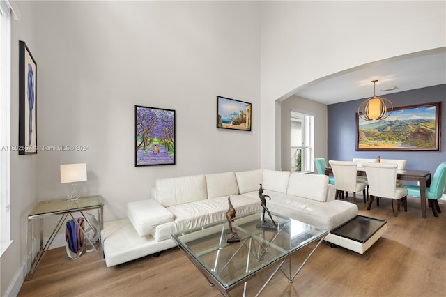 living room featuring hardwood / wood-style floors