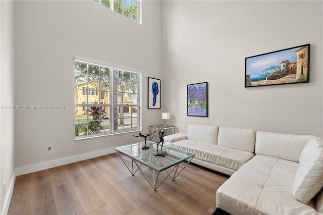 living room with wood-type flooring and a high ceiling