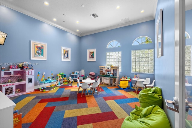 playroom featuring crown molding