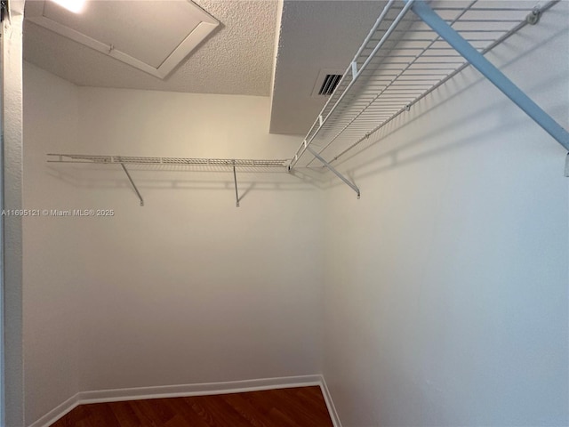 spacious closet featuring visible vents, attic access, and dark wood-style flooring