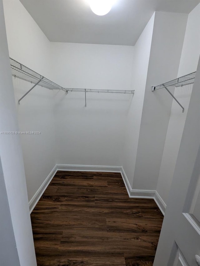 walk in closet featuring dark hardwood / wood-style flooring