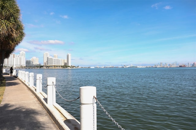 1420 Brickell Bay Dr Unit 1506D, Miami, FL 33131 - dock area featuring a water view and a view of skyline