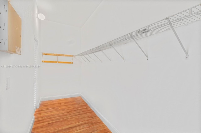 walk in closet with electric panel and hardwood / wood-style flooring