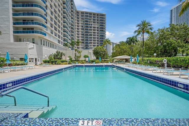 view of pool with a patio