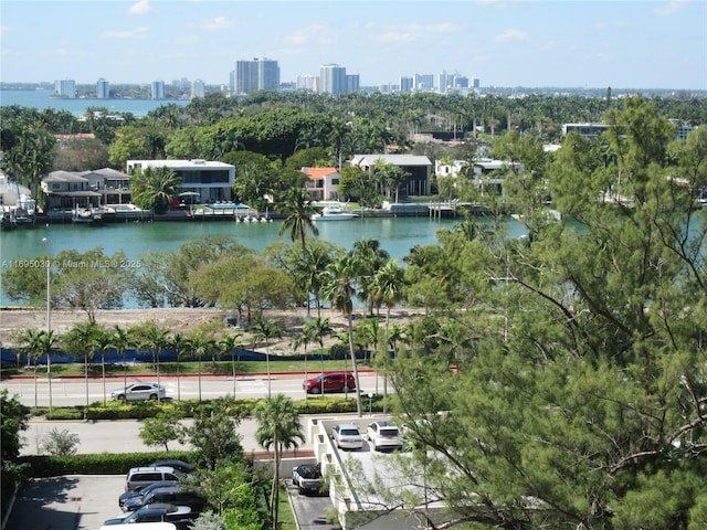 bird's eye view with a water view