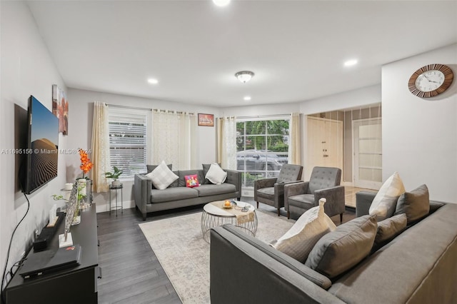 living room featuring dark hardwood / wood-style floors