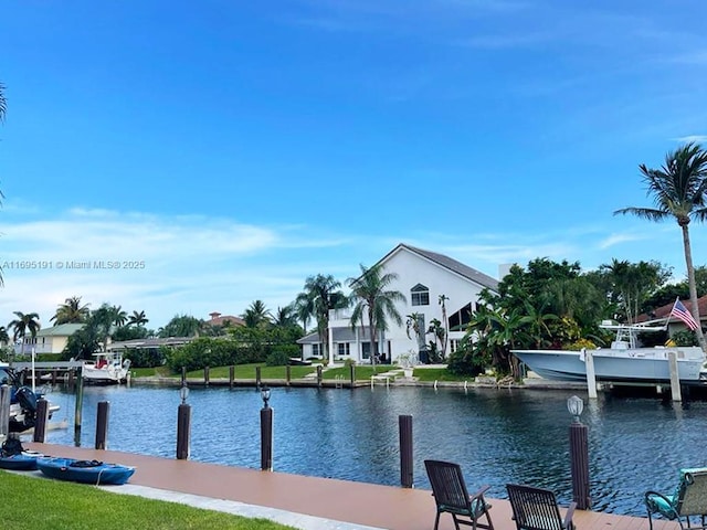 water view featuring a boat dock