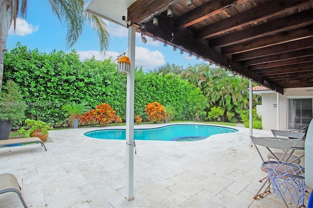 view of pool featuring a patio area