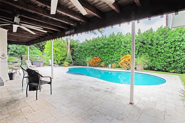 view of pool featuring a patio and ceiling fan