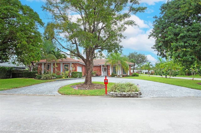 ranch-style home with a front yard