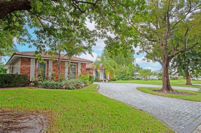 ranch-style home featuring a front lawn