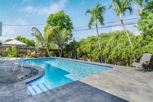 view of swimming pool featuring a patio area