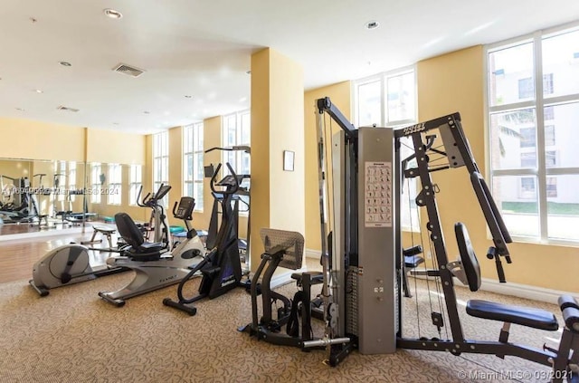 exercise room featuring carpet