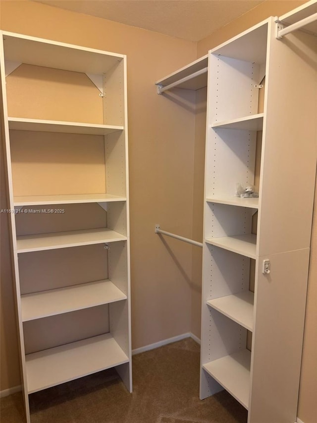 spacious closet with dark colored carpet