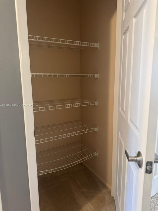 view of closet