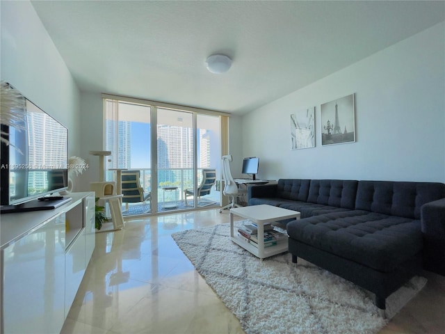 living room featuring expansive windows and a healthy amount of sunlight