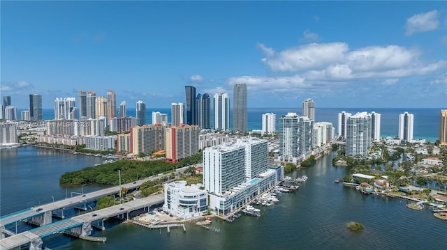 aerial view with a water view and a city view