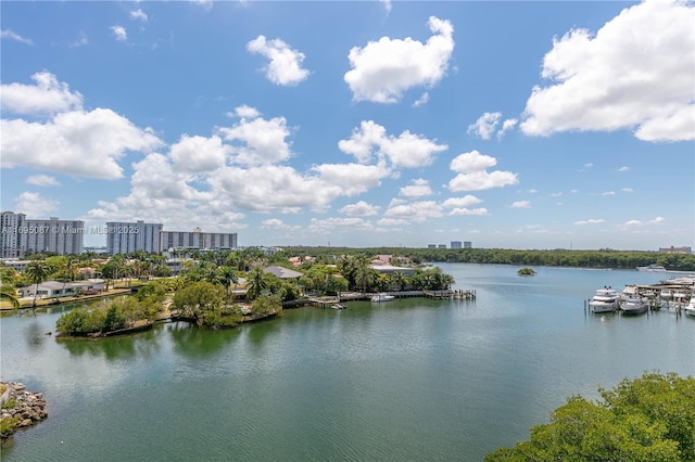 water view featuring a view of city