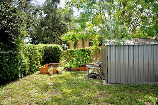 view of yard featuring a shed