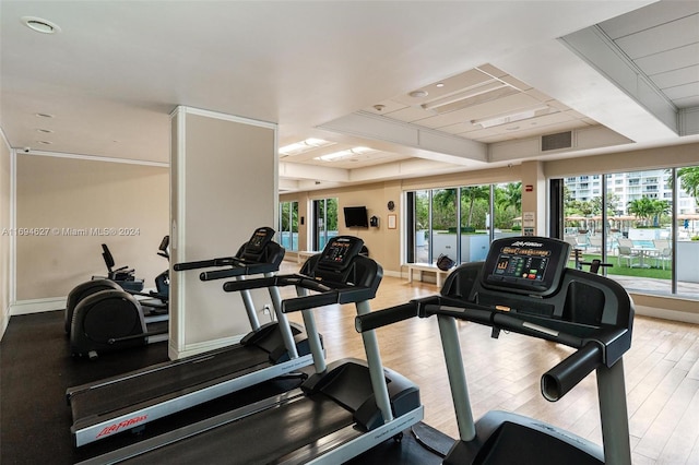 workout area featuring a raised ceiling and light hardwood / wood-style flooring