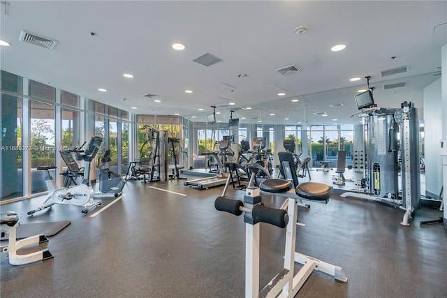 gym featuring expansive windows and a healthy amount of sunlight