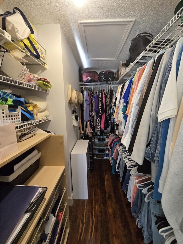 spacious closet with dark hardwood / wood-style flooring