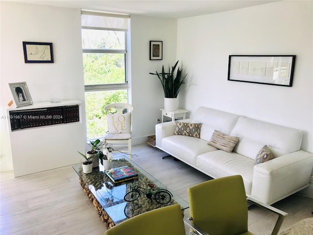 living room featuring light hardwood / wood-style floors