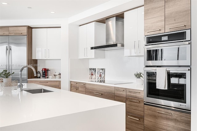 kitchen with white cabinetry, sink, wall chimney range hood, and appliances with stainless steel finishes