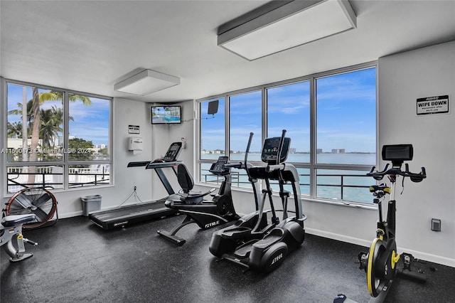 exercise room featuring a wealth of natural light