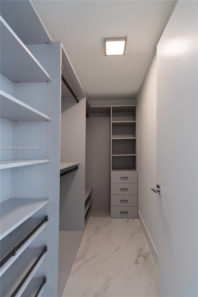 view of walk in closet