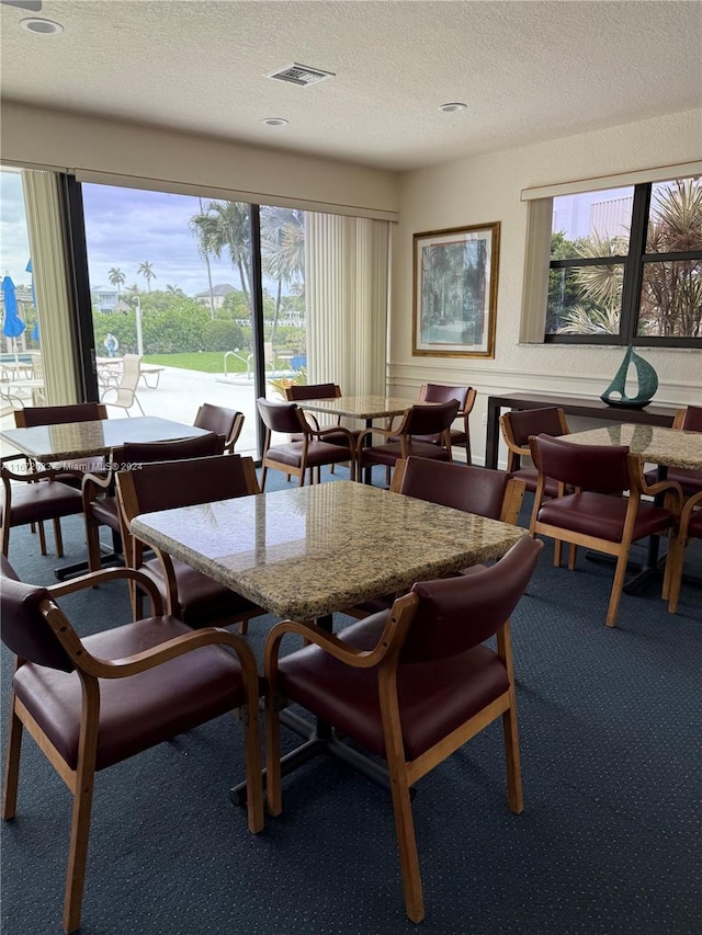 carpeted dining room with a textured ceiling and a wealth of natural light