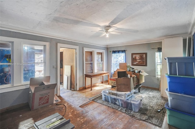 interior space featuring a textured ceiling, ceiling fan, wood-type flooring, and ornamental molding