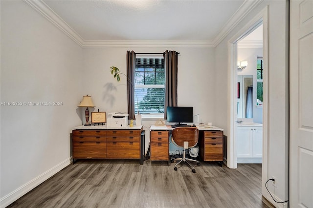 office area with crown molding and wood-type flooring