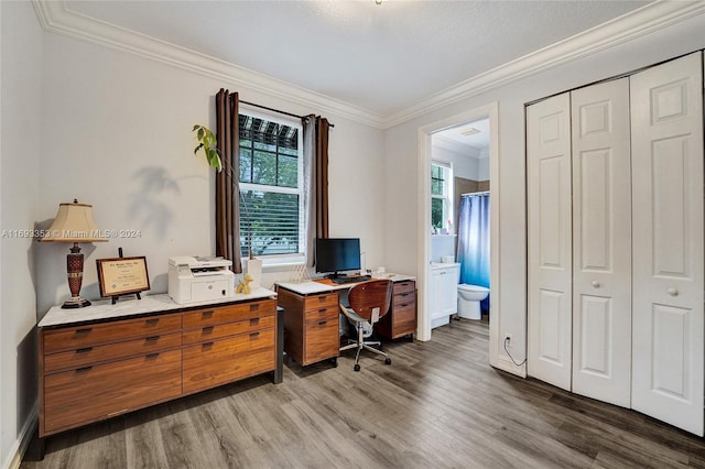 home office with a textured ceiling, wood-type flooring, and crown molding