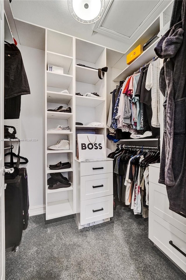 view of walk in closet