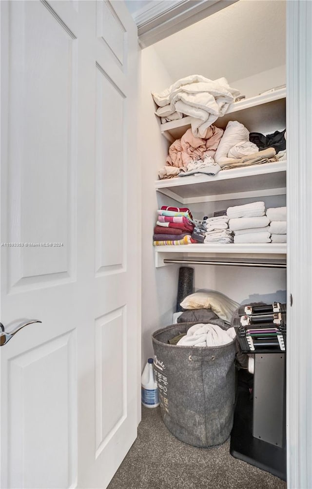 view of closet