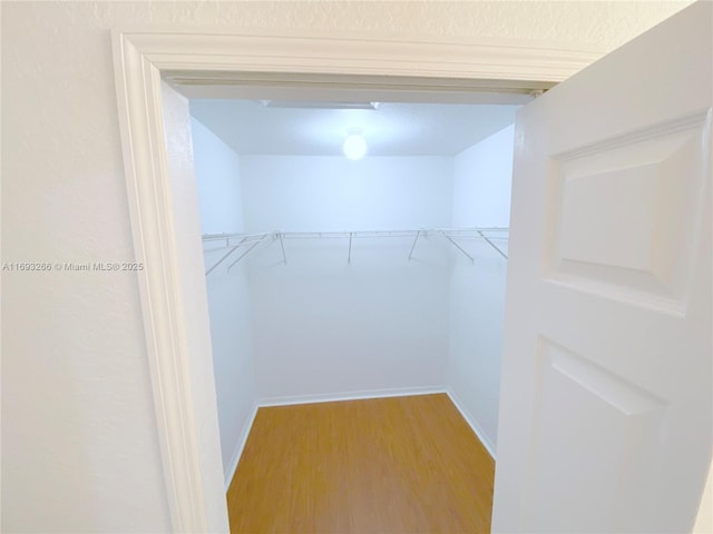 walk in closet featuring wood-type flooring