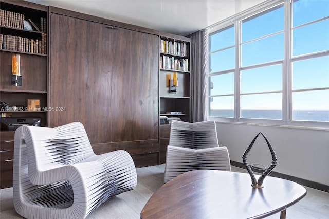 sitting room featuring light hardwood / wood-style flooring, a water view, and plenty of natural light