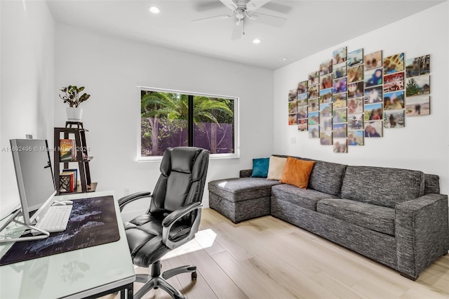 office featuring ceiling fan and light wood-type flooring