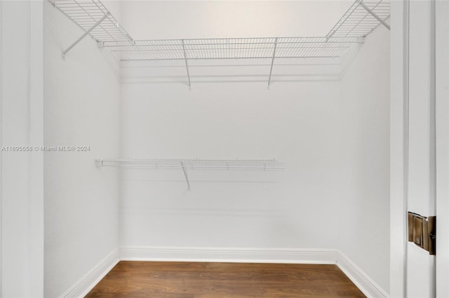 walk in closet featuring hardwood / wood-style flooring