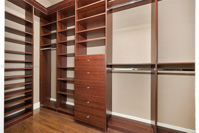 walk in closet with dark hardwood / wood-style floors