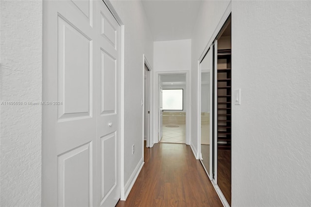 hallway featuring dark wood-type flooring