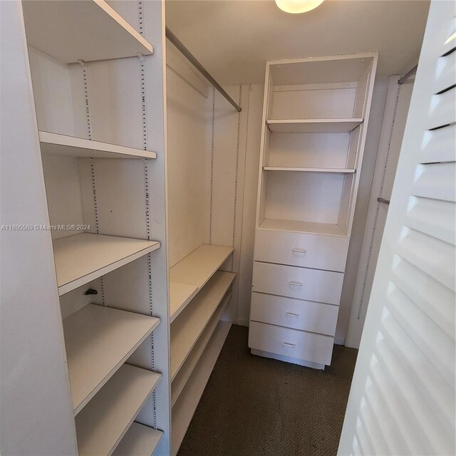 spacious closet with dark carpet